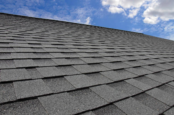 Best Roof Coating and Sealing  in Sanford, NC